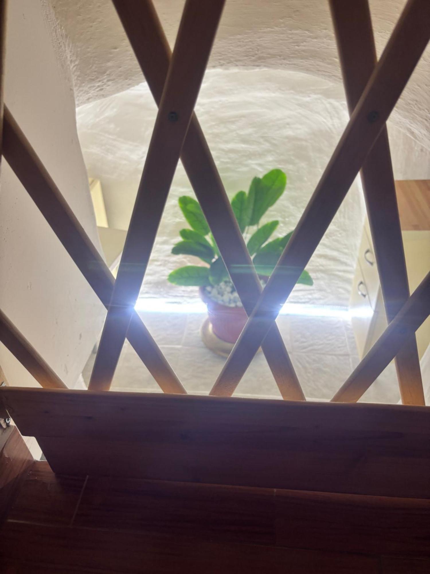Santa Lucia Βίλα Rutigliano Εξωτερικό φωτογραφία